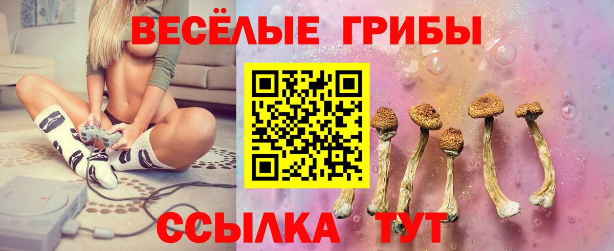 Псилоцибиновые грибы мицелий Ипатово